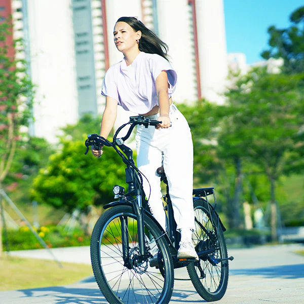 Isinwheel Cruiser 500W Ebike