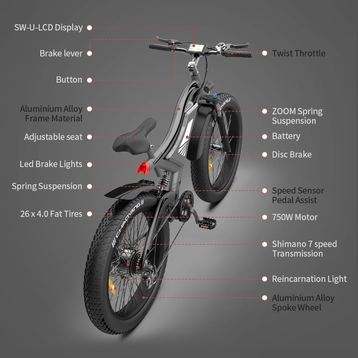 Aostirmotor S18 Fat Tire Mountain Ebike