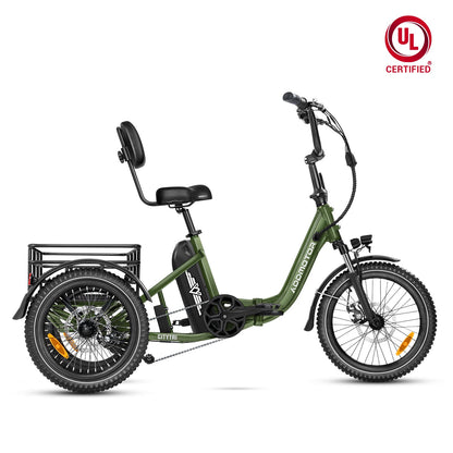 CITYTRI E-310 Electric Trike