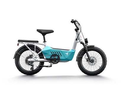 Himiway Cargo Ebike C3