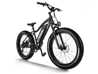 Himiway Cruiser Fat Tire Mountain Ebike