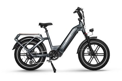 Himiway Big Dog Cargo Ebike