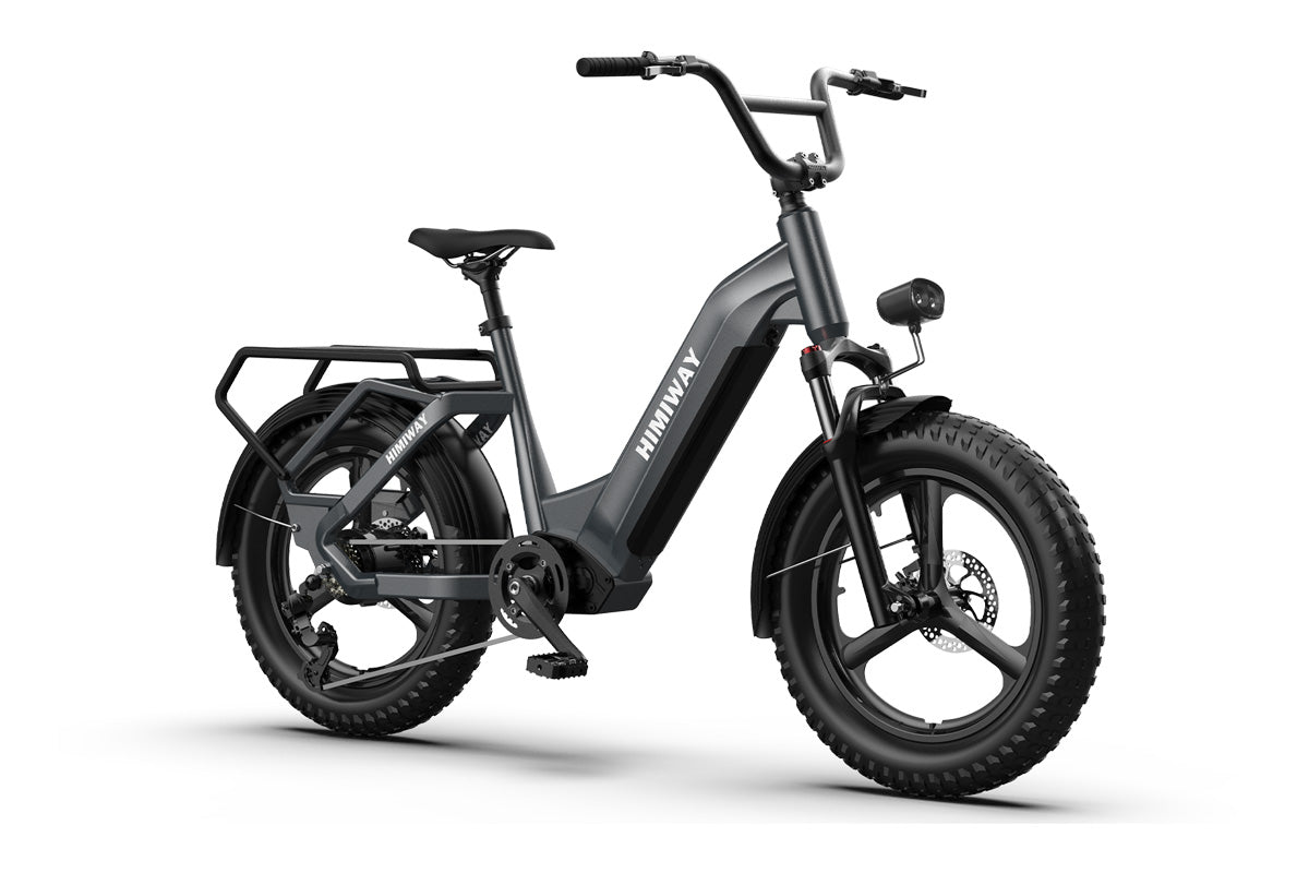 Himiway Big Dog Cargo Ebike