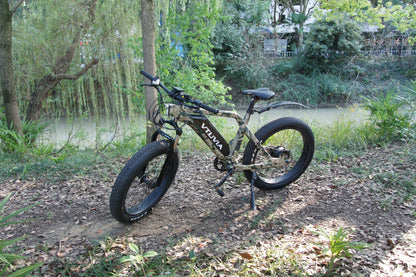 Vtuvia SN100 750W Ebike