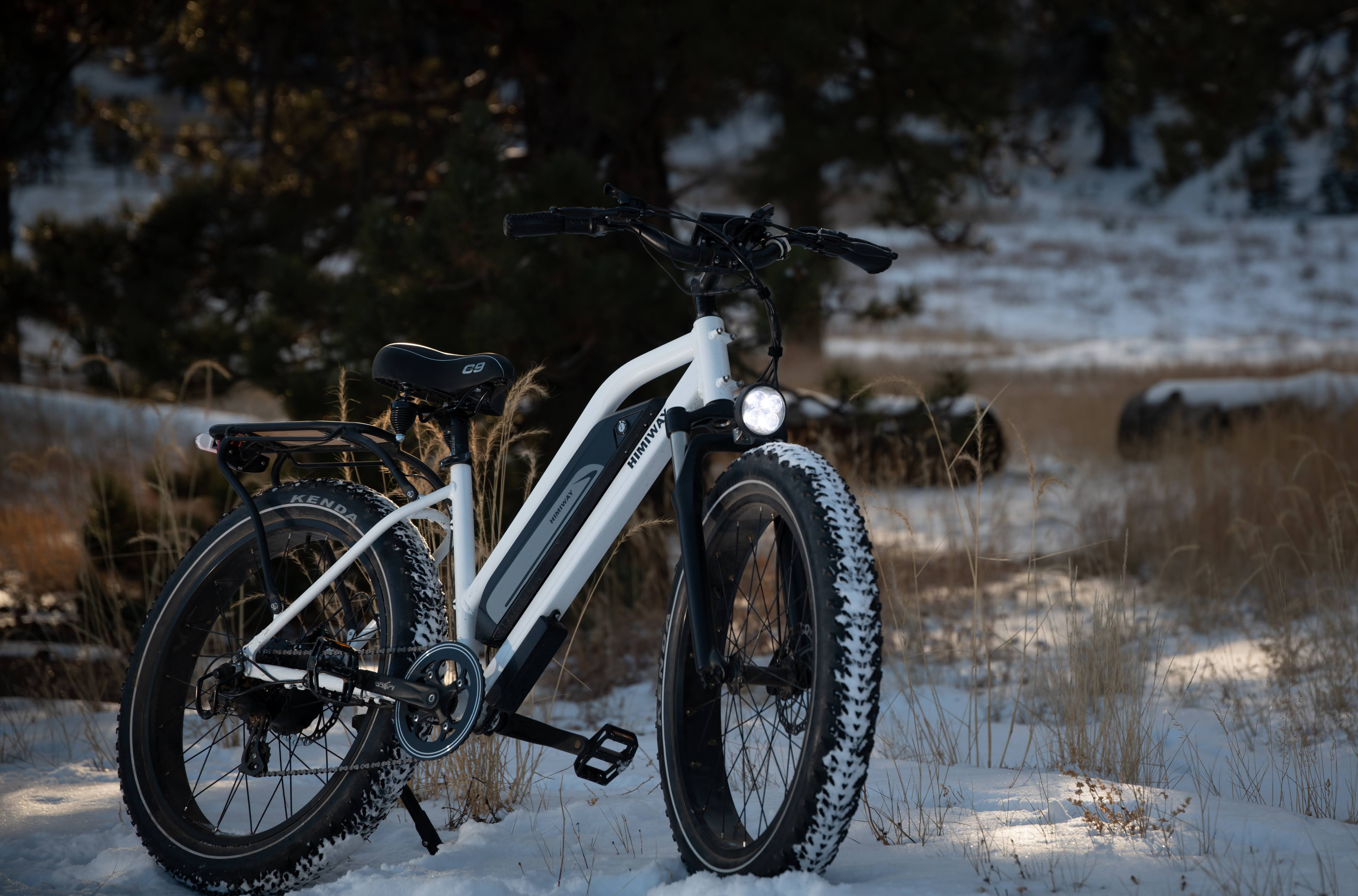 Himiway Cruiser Fat Tire Step Thru Ebike