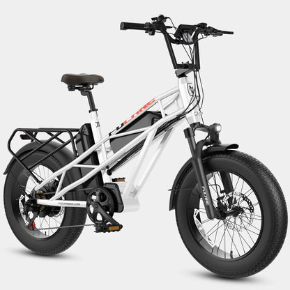 Fucare Gemini X 1000W Dual Battery Ebike