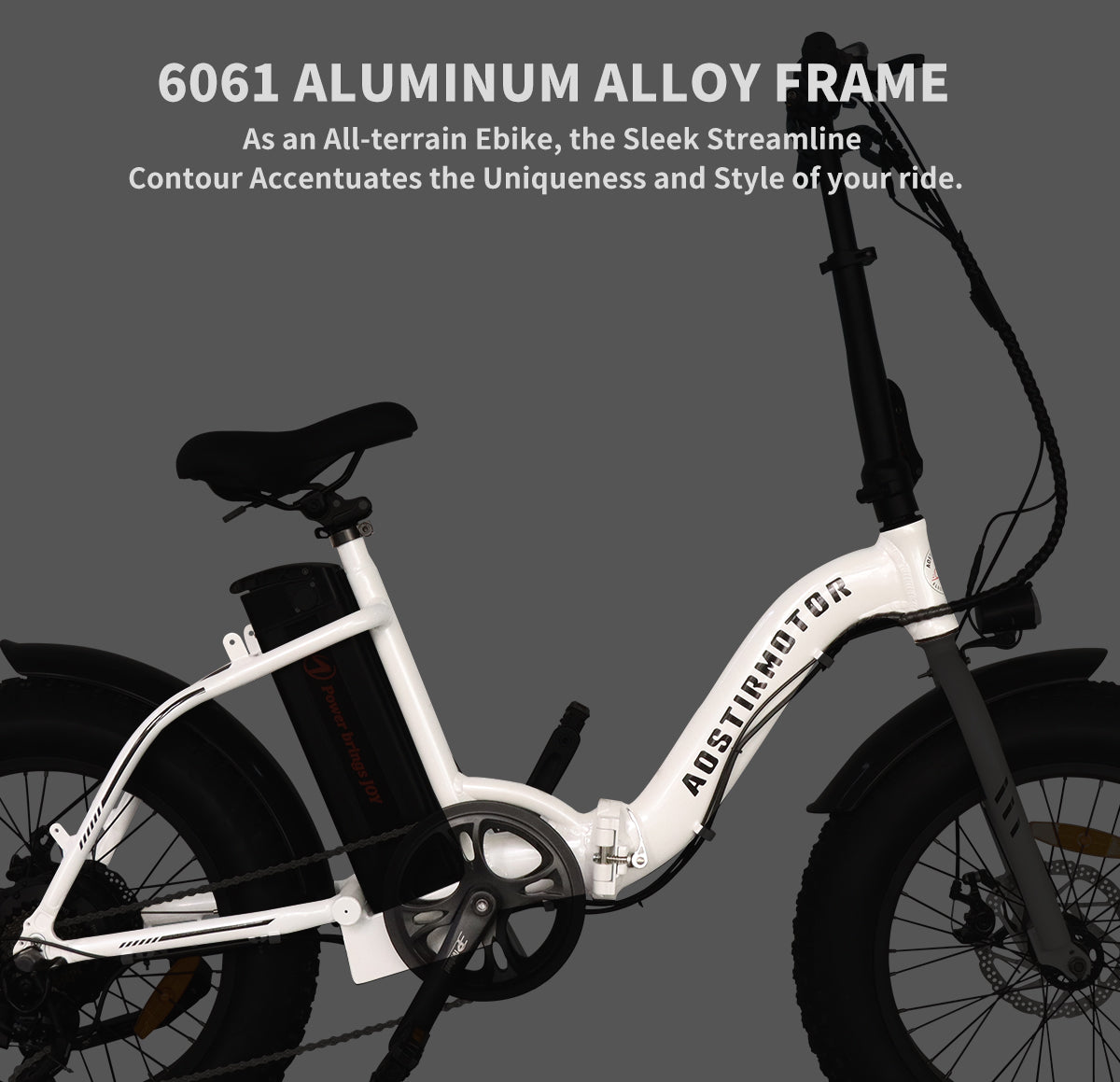 Aostirmotor G20 Fat Tire Folding Ebike