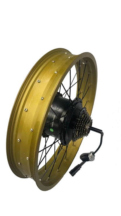 Smartravel ZM22 Hub Motor and Rim