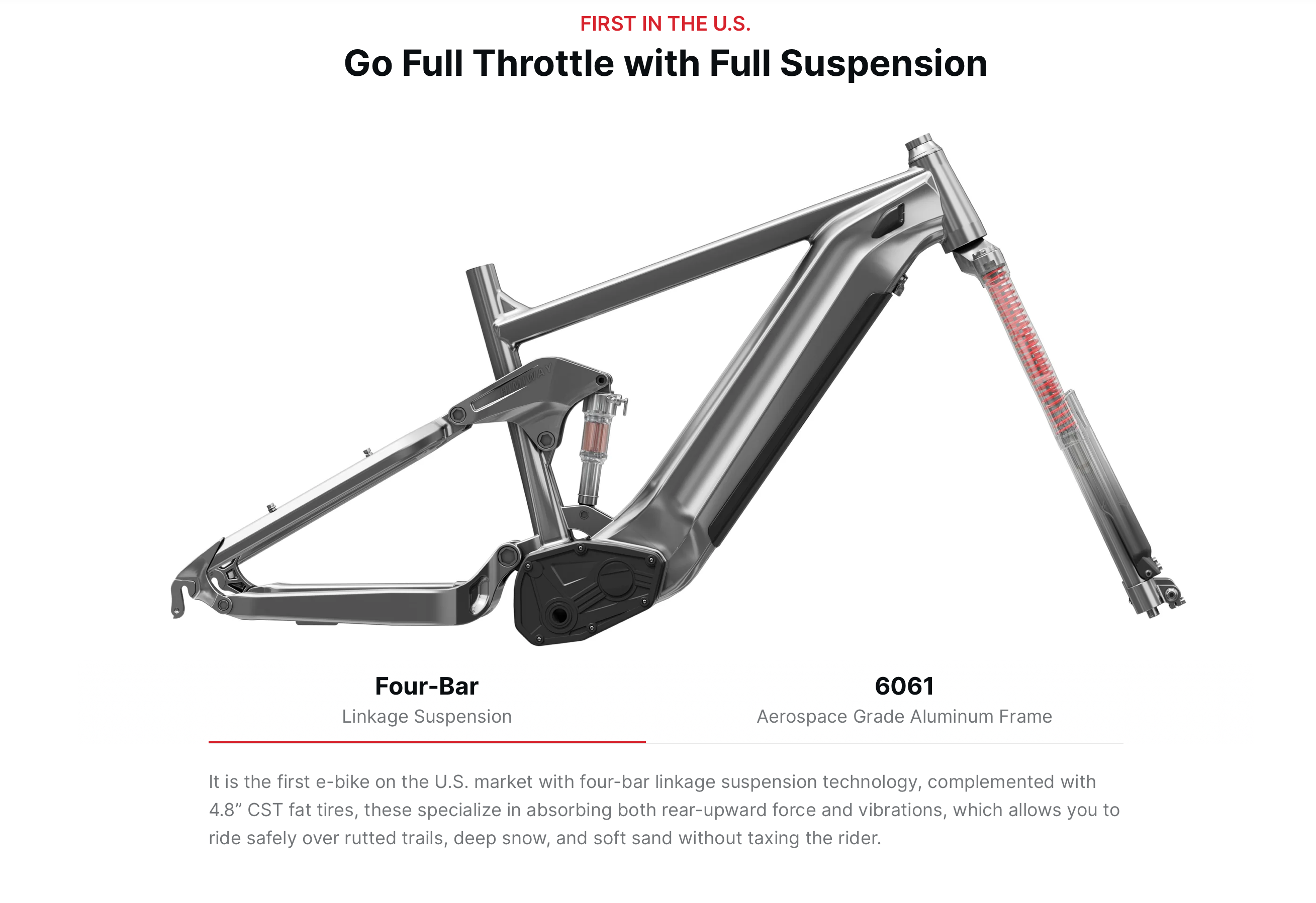 Himiway Cobra Full Suspension Electric Bike