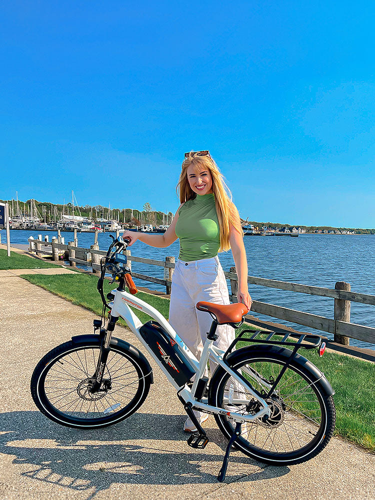 CITYPRO E-43 Urban Ebike