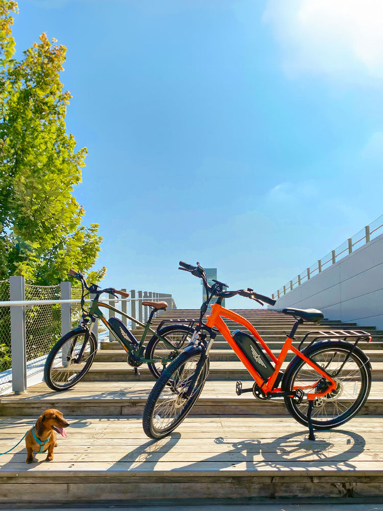 CITYPRO E-43 Urban Ebike