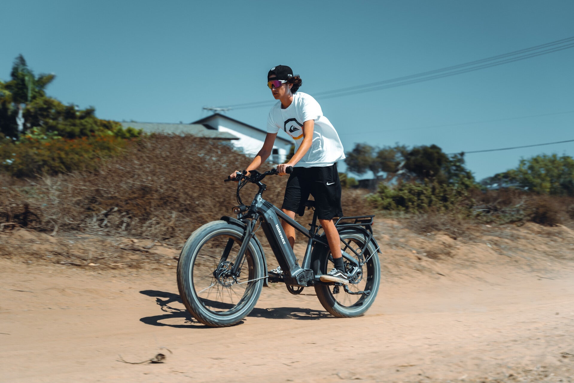 Himiway Big Dog Cargo Ebike