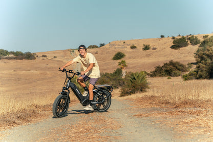 Himiway Big Dog Cargo Ebike