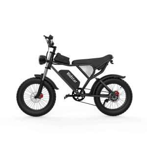 Ridstar Q20 1500W Retro Ebike